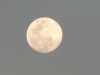 lua 111 VSO